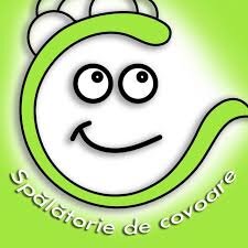 Camaio - Spalatorie profesionala de covoare